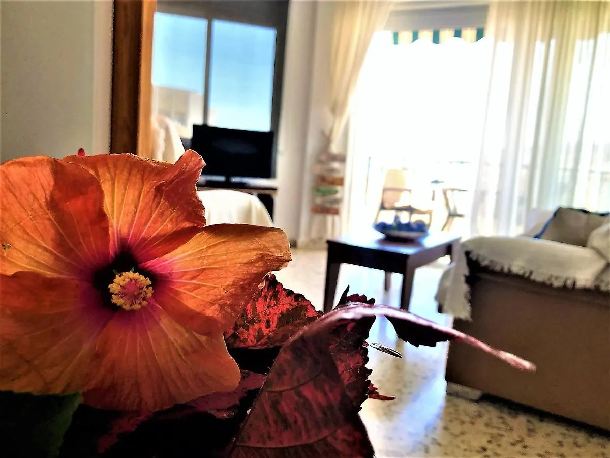 Salute To The Sea Apartment Nerja